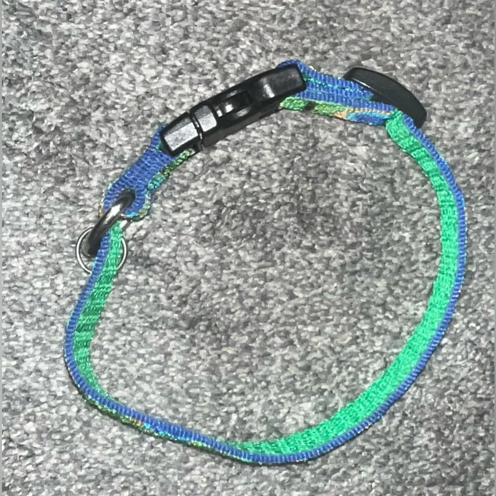 🎉HOST PICK 🎉 *BRAND NEW/ NEVER USED* Green & Blue Peacock Dogs Collar